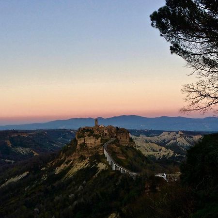 Podere Porcino Civitella dʼAgliano Zewnętrze zdjęcie
