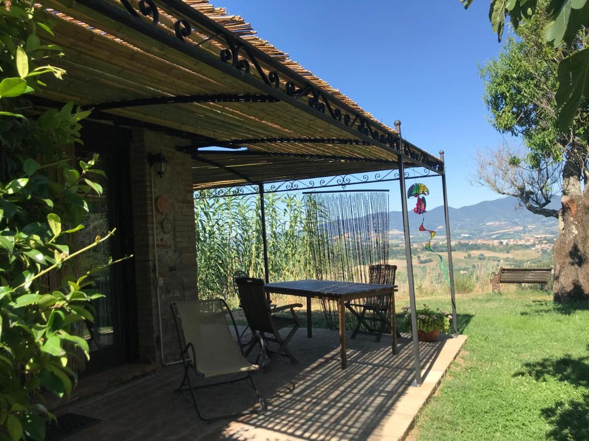 Podere Porcino Civitella dʼAgliano Zewnętrze zdjęcie