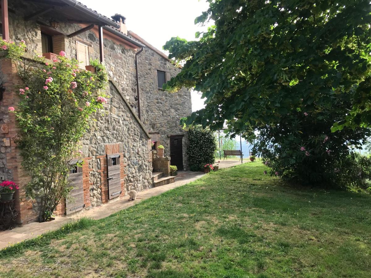 Podere Porcino Civitella dʼAgliano Zewnętrze zdjęcie
