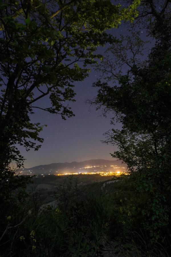 Podere Porcino Civitella dʼAgliano Zewnętrze zdjęcie