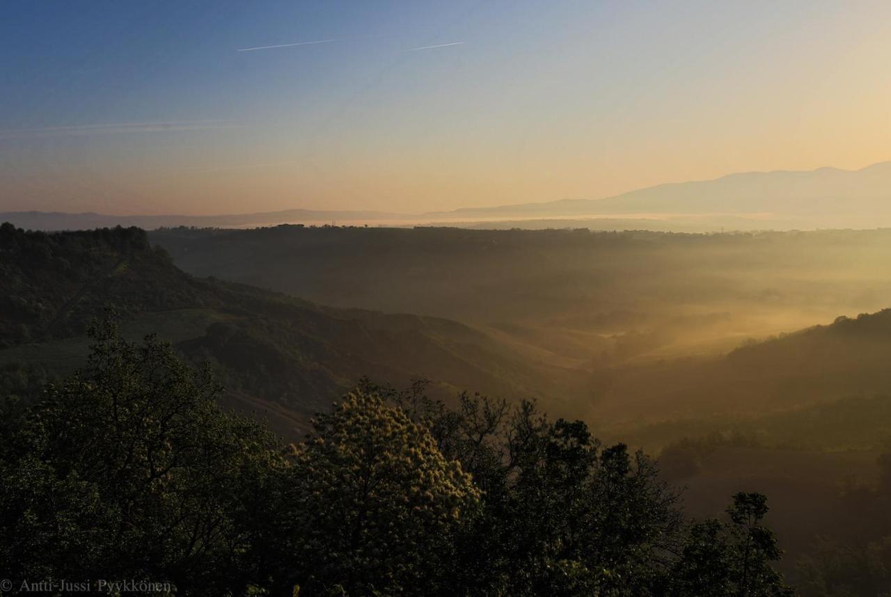 Podere Porcino Civitella dʼAgliano Zewnętrze zdjęcie