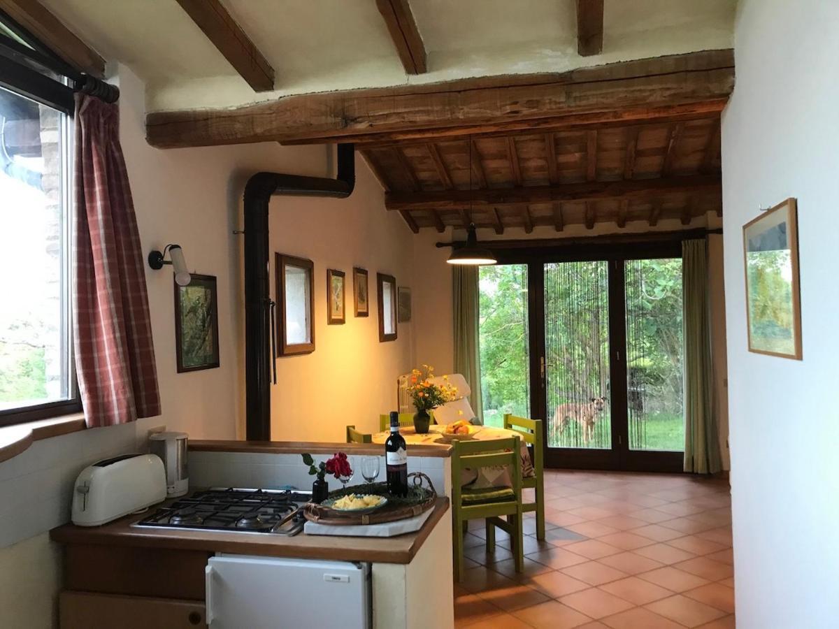 Podere Porcino Civitella dʼAgliano Zewnętrze zdjęcie