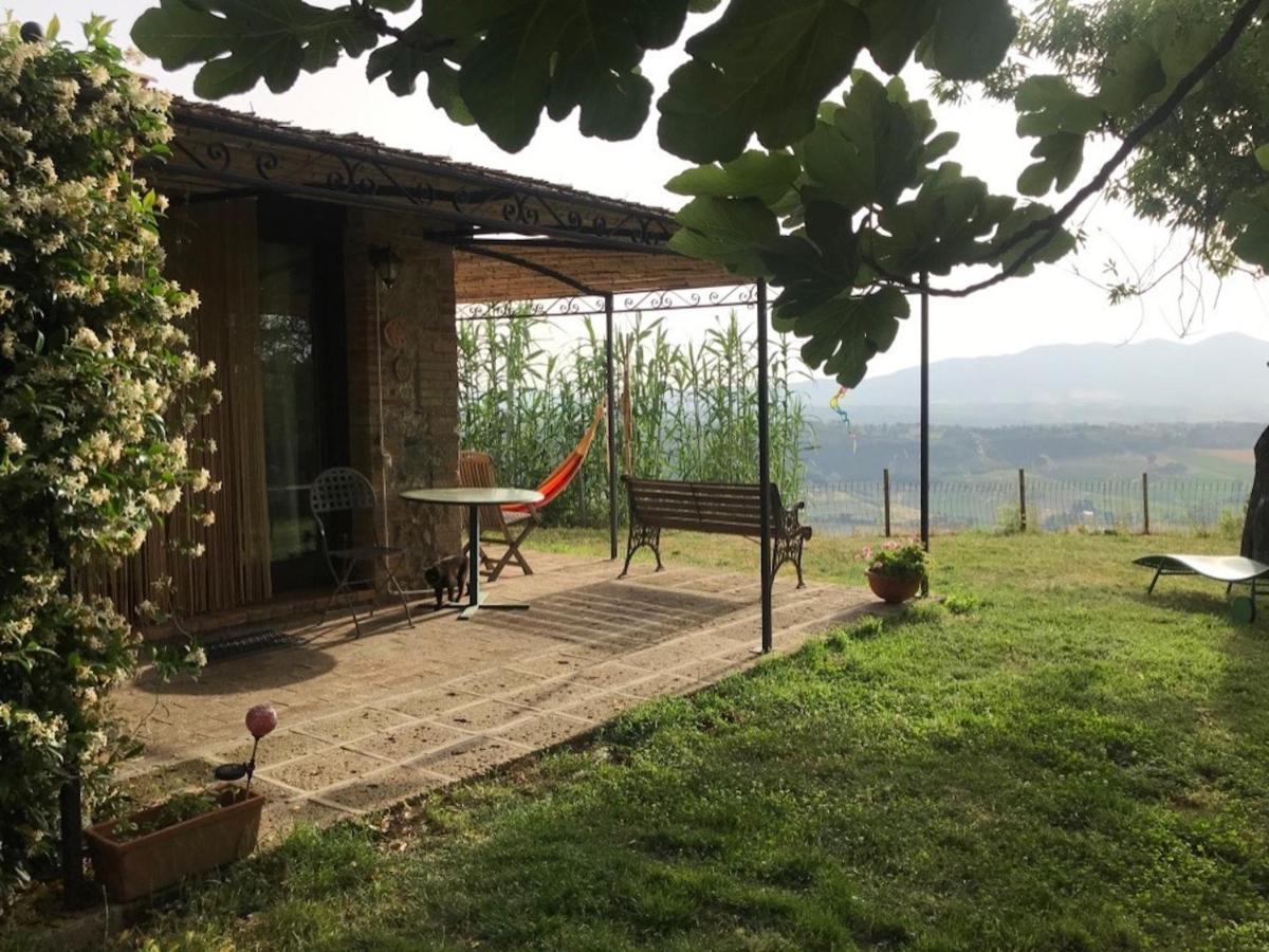Podere Porcino Civitella dʼAgliano Zewnętrze zdjęcie