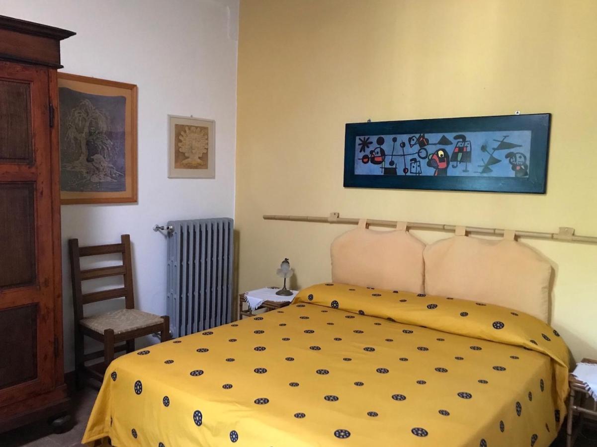 Podere Porcino Civitella dʼAgliano Zewnętrze zdjęcie