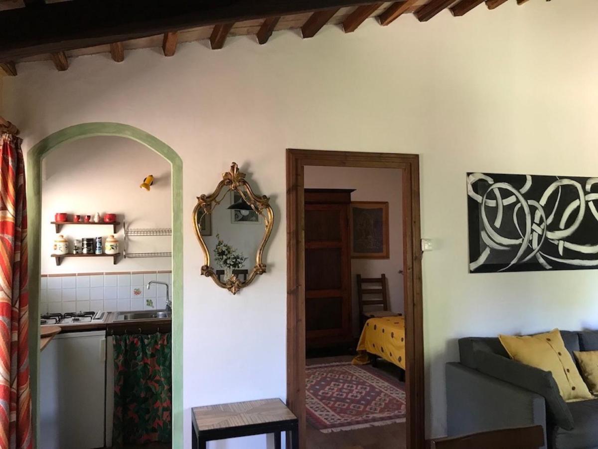Podere Porcino Civitella dʼAgliano Zewnętrze zdjęcie