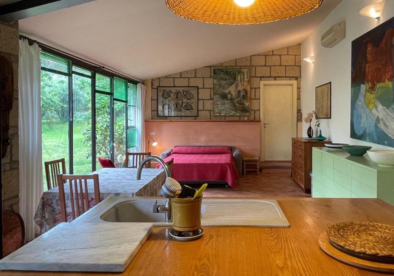 Podere Porcino Civitella dʼAgliano Zewnętrze zdjęcie