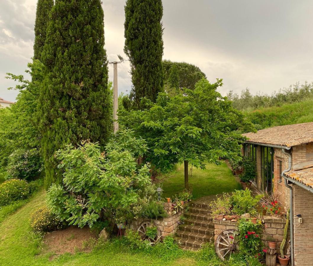 Podere Porcino Civitella dʼAgliano Zewnętrze zdjęcie