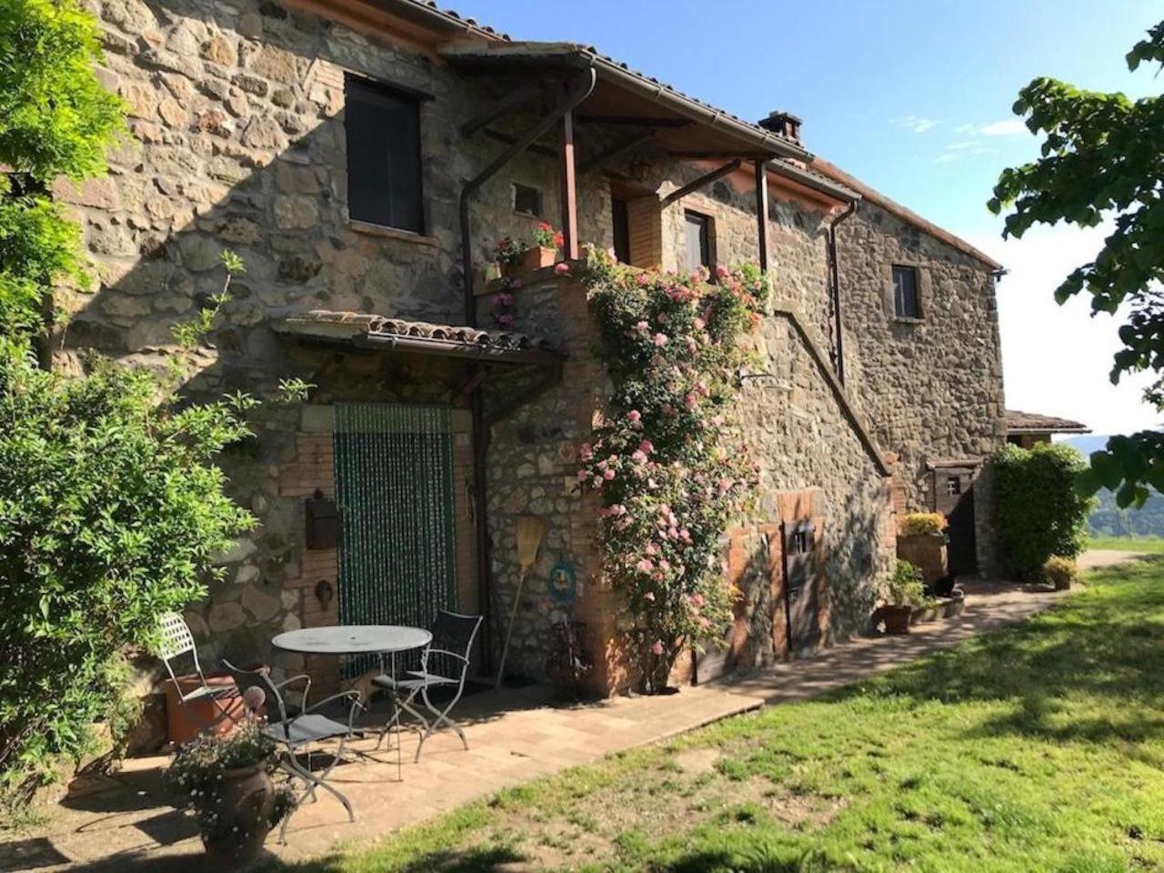 Podere Porcino Civitella dʼAgliano Zewnętrze zdjęcie