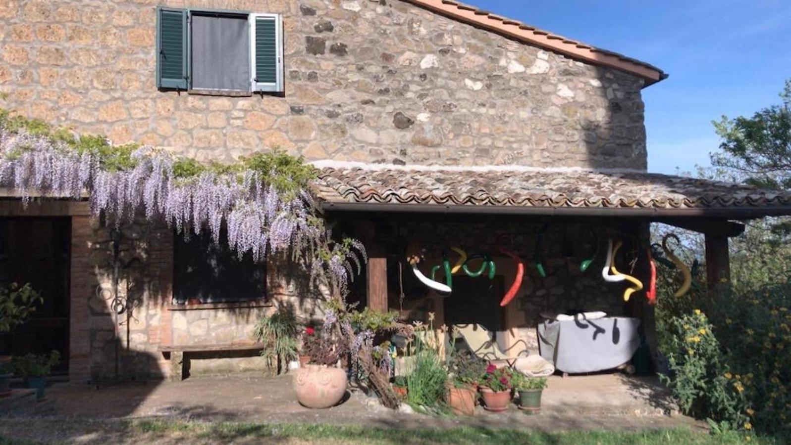 Podere Porcino Civitella dʼAgliano Zewnętrze zdjęcie