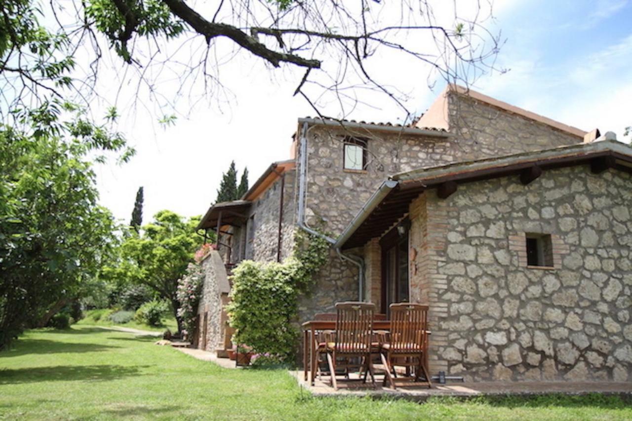 Podere Porcino Civitella dʼAgliano Zewnętrze zdjęcie