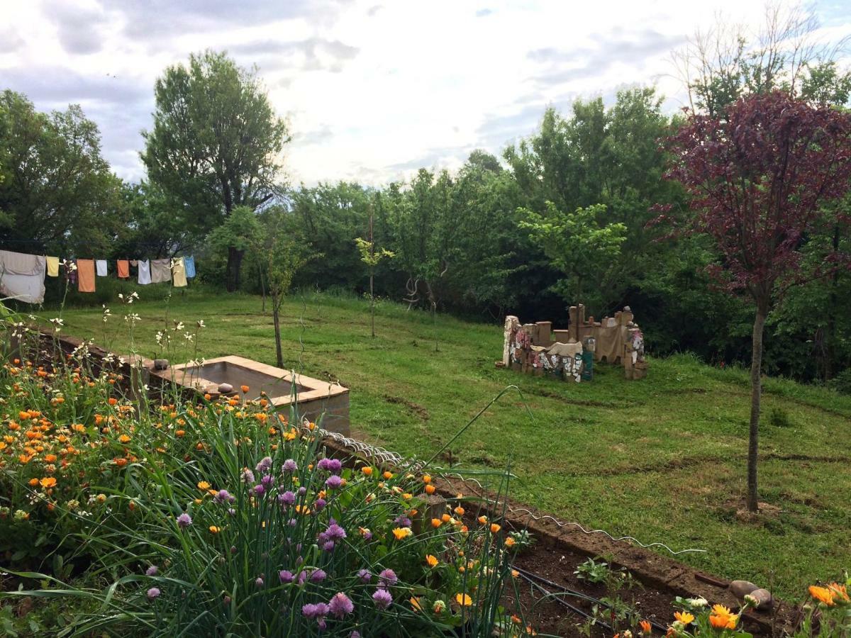 Podere Porcino Civitella dʼAgliano Zewnętrze zdjęcie