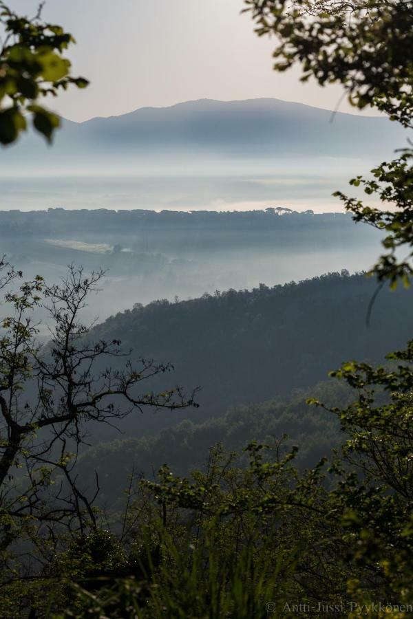 Podere Porcino Civitella dʼAgliano Zewnętrze zdjęcie