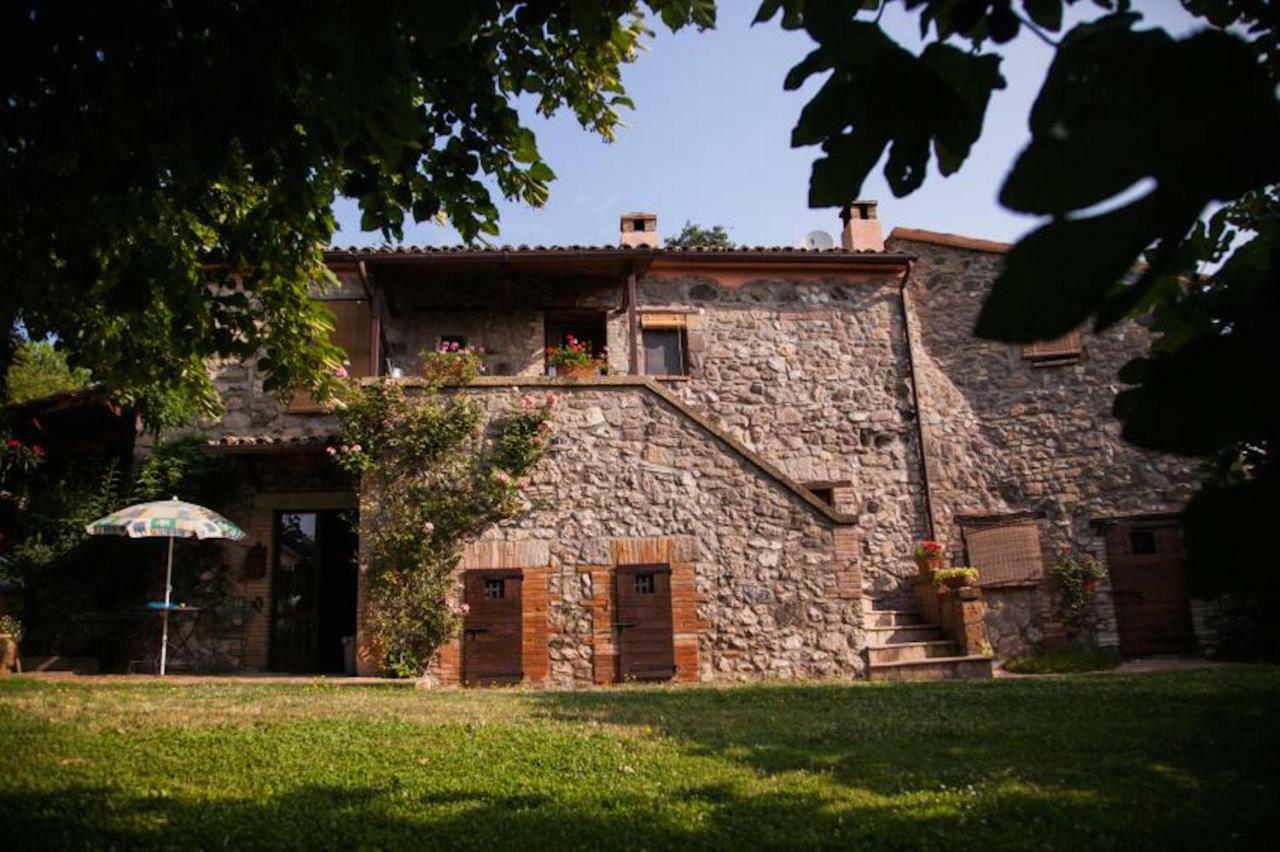 Podere Porcino Civitella dʼAgliano Zewnętrze zdjęcie