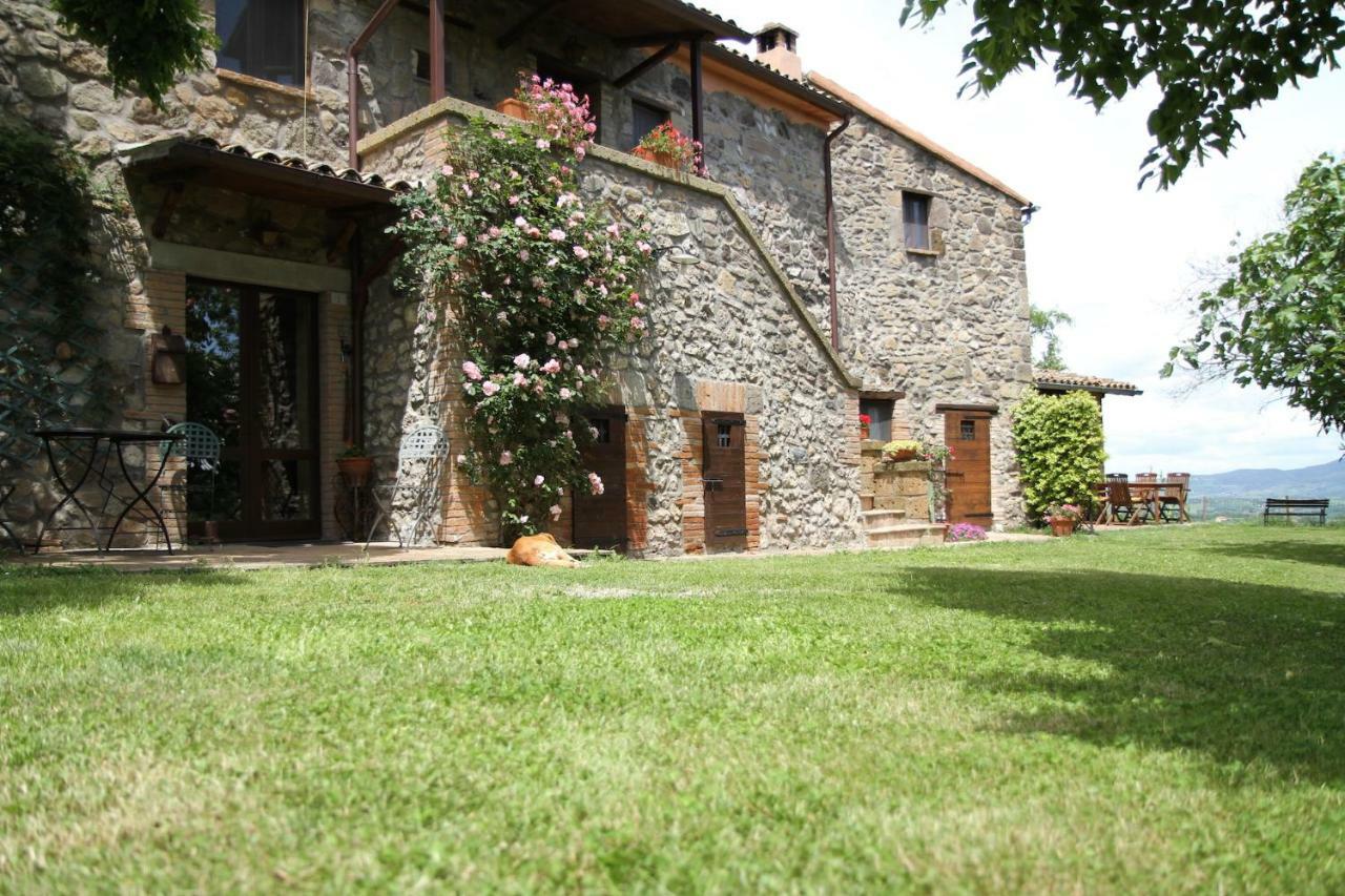Podere Porcino Civitella dʼAgliano Zewnętrze zdjęcie