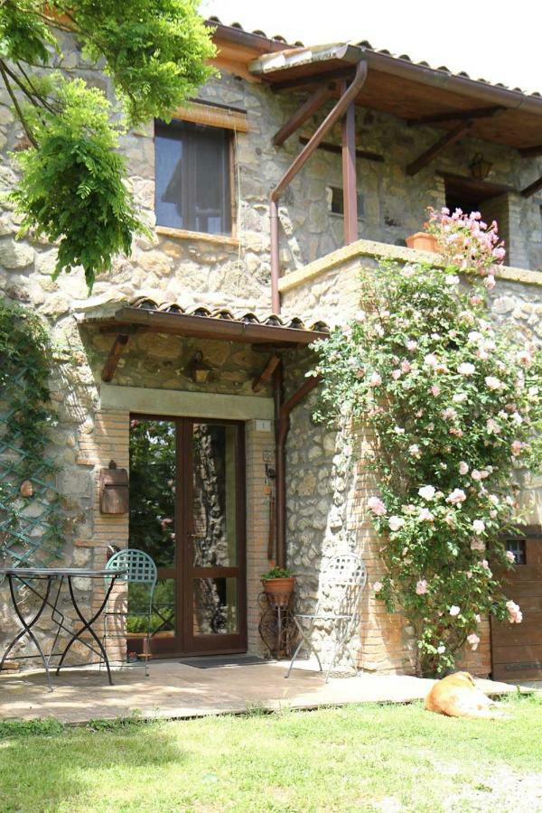 Podere Porcino Civitella dʼAgliano Zewnętrze zdjęcie