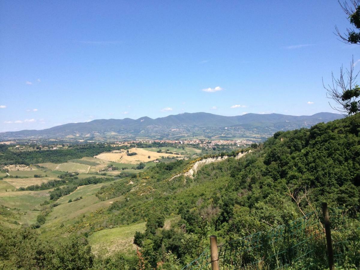 Podere Porcino Civitella dʼAgliano Zewnętrze zdjęcie