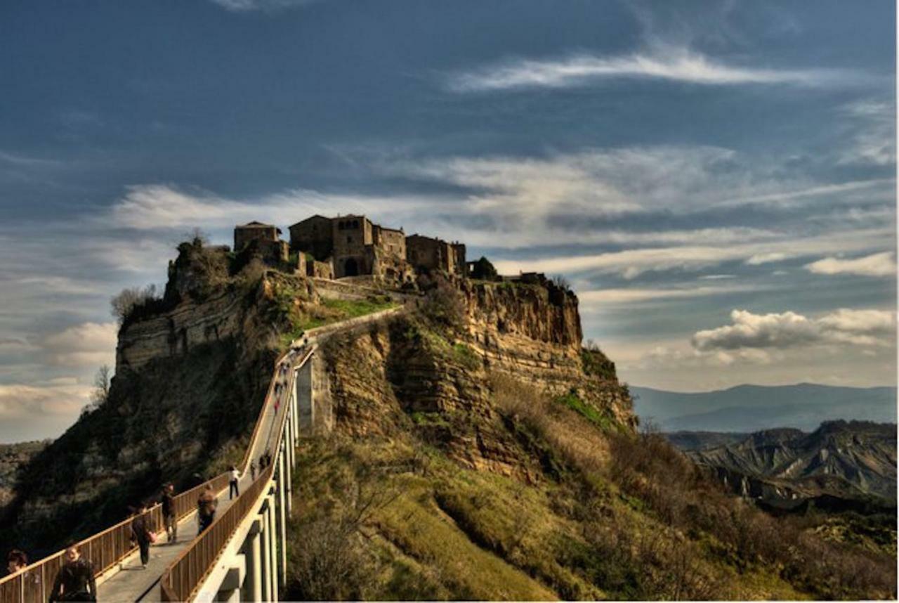 Podere Porcino Civitella dʼAgliano Zewnętrze zdjęcie