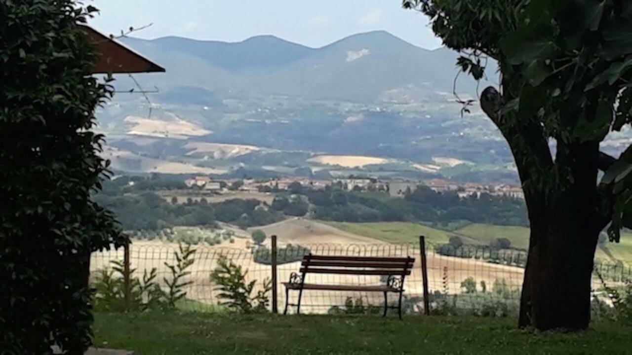 Podere Porcino Civitella dʼAgliano Zewnętrze zdjęcie
