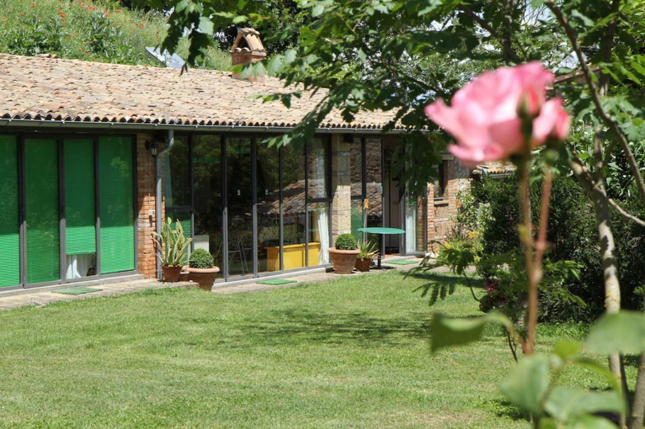Podere Porcino Civitella dʼAgliano Zewnętrze zdjęcie