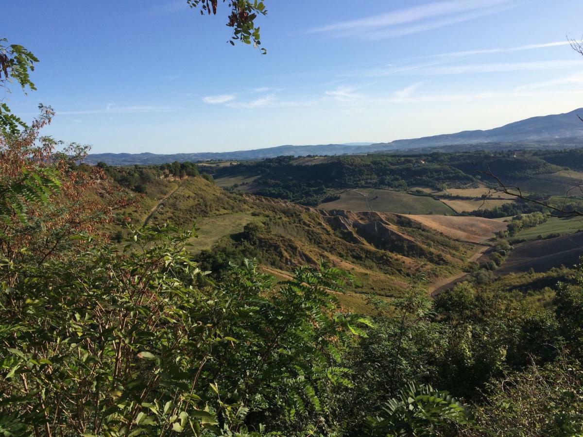 Podere Porcino Civitella dʼAgliano Zewnętrze zdjęcie