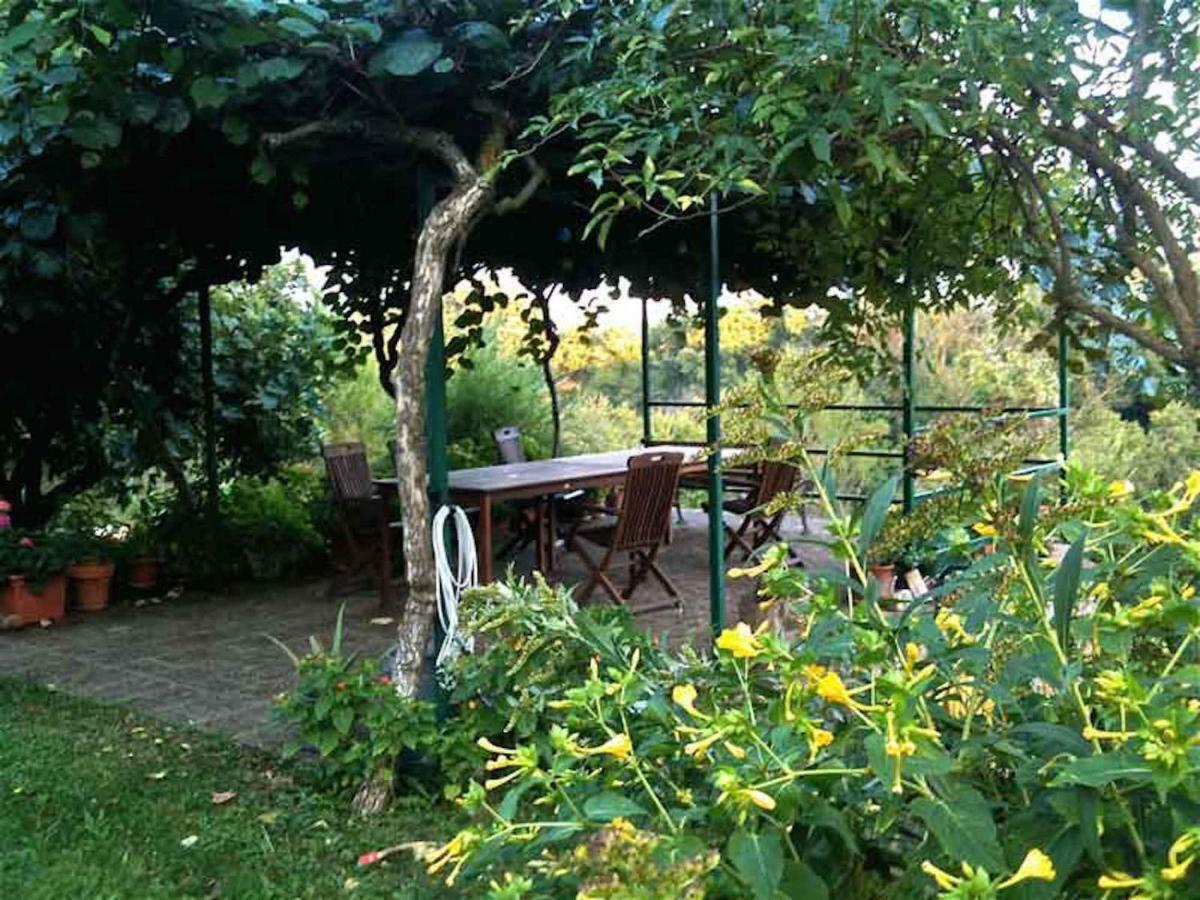 Podere Porcino Civitella dʼAgliano Zewnętrze zdjęcie